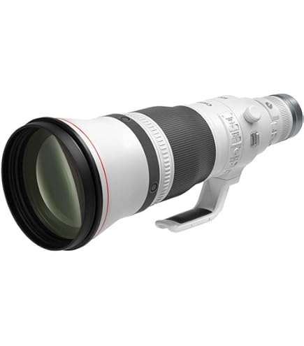 Amazon.co.jp: Canon 単焦点超望遠レンズ EF600mm F4L IS III USM フル